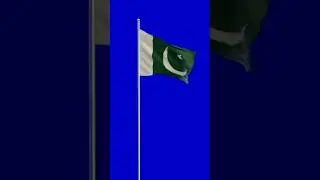 14 August 2023 Pakistani flag🚩 #shorts #greenscreen