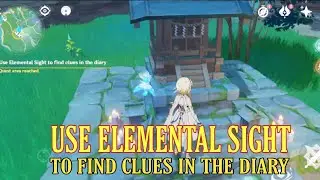 Use Elemental Sight to find Clues in the diary Genshin impact