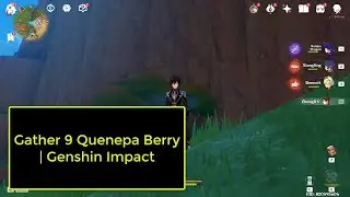 Gather 9 Quenepa Berry | Genshin Impact