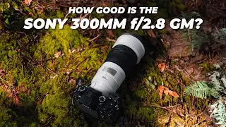 Sony FE 300mm f/2.8 GM OSS Lens Review | Is This THE BEST GM Prime Lens?