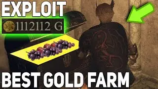 Dragon's Dogma 2 GOLD FARM MONEY EXPLOIT, Gold Farming Glitch