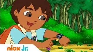 Гоу, Диего, Гоу! | Поиски ламы | Nick Jr. Россия