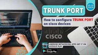 Configure TRUNK PORT on Cisco Devices | Network Handbook