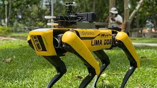 Robot dog reminds park goers about social distancing | Coronavirus