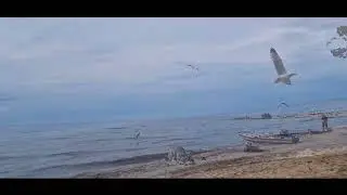 БАЙКАЛ  Новый Энхалук 09.08.2023🌊 )))