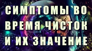 СИМПТОМЫ ВО ВРЕМЯ ЧИСТОК И ИХ ЗНАЧЕНИЕ