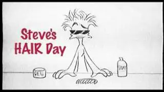 STEVE'S HAIR DAY