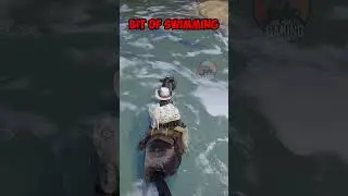 RDR2 : Revisiting the easiest way to Mexico 