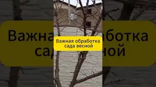 Важная обработка сада весной! 