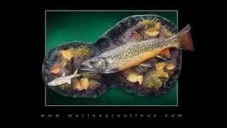 Tiger Trout fish mount by Marine Creations Taxidermy