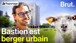 À Lyon, Bastien et son troupeau ramènent lagriculture au cœur des quartiers