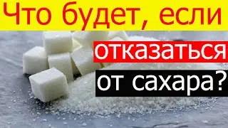 Что будет если полностью отказаться от сахара? Можно ли отказаться от сахара?