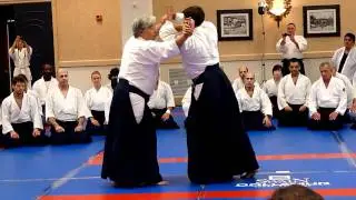 Yamada Sensei Ryotetori Iriminage