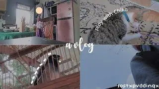 a vlog, because I'm bored...