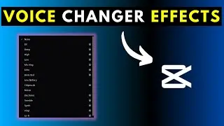 How to Use the Voice Changer Effects in CapCut for Windows PC