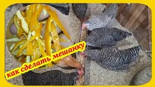 Новый Год время мандаринов. Как правильно делать мешанку с мандариновыми корками для кур несушек.