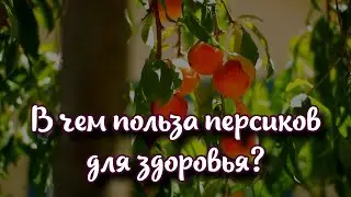 В чем польза персиков для здоровья?