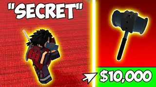 A Secret $10,000 Gamepass Made Me OP In Roblox..