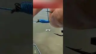 НИ ОДНА РЫБА НЕ СОРВЕТСЯ С КРЮЧКА, ЕСЛИ... 😳🐟🎣