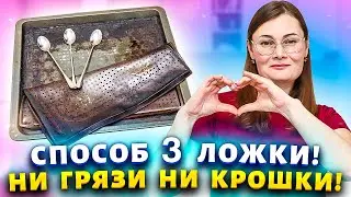 ✅Смешайте горчицу с мятным порошком для идеального результата! Чистая посуда и блестящий унитаз!