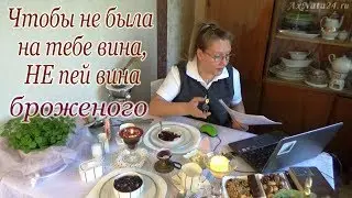 Виноградная лоза. Вино в Библии - Дух Святой. Завтрак при свечах.