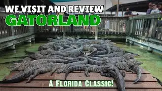 Gatorland Orlando - Tour & Full Review