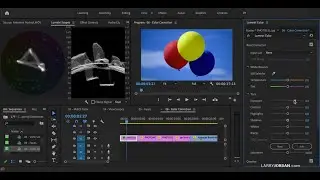 Premiere Pro: Adjust Grayscale Values to Improve Video Images