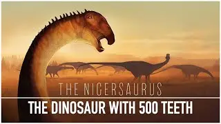 Nigersaurus: The Dinosaur with 500+ Teeth | Dinosaur Documentary