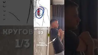 Как убрать боль в спине мячом