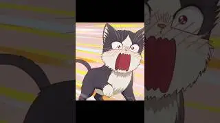 Думала, что будут кормить😸 || Домашний питомец, иногда сидящий на моей голове #аниме #anime