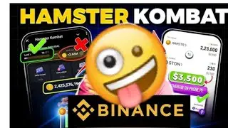 how to connect Binance with Hamster combat