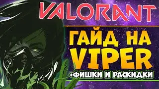 ЕДИНСТВЕННЫЙ ГАЙД НА VIPER, КОТОРЫЙ ТЫ ДОЛЖЕН ПОСМОТРЕТЬ! Раскидки за viper в VALORANT