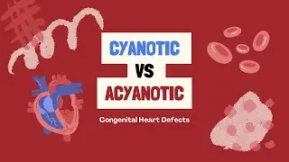 Cyanotic vs Acyanotic Heart Diseases | Cardiovascular | Pathophysiology