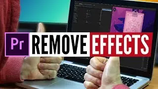 Remove Effect from Many Clips in Premiere Pro