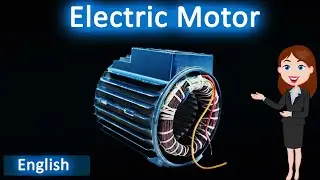 Electric Motor || 3D animated explanation || class 12th and 10th science ||