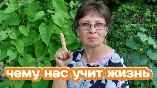 Уроки жизни и наши учителя. Разговоры в зной под вязом, муж уехал кататься, а я потеряла купальник