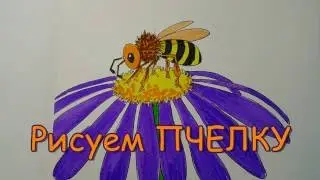 Рисуем ПЧЕЛКУ
