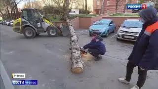 В конце апреля идет снег и падают деревья от ветра