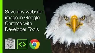 Save any website image in Google Chrome with Developer Tools