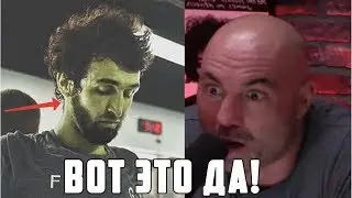 СОСТОЯНИЕ ЗАБИТА ПЕРЕД UFC 228 | ВИДЕОБЛОГ - ОБЗОР ПЕРЕД БОЕМ