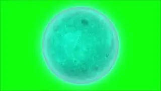 Free 3D Rotating Globe_Circle Rotaion_Green Screen