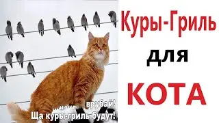 ПРИКОЛЫ! КУРЫ - ГРИЛЬ ДЛЯ КОТА!!! Угарные МЕМЫ, смешные истории от Доми шоу!