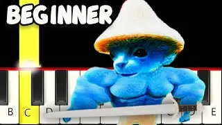 We love We live We FIGHT - Strong Smurf Cat - Fast and Slow (Easy) Piano Tutorial - Beginner