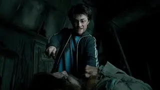 Первая встреча Гарри Поттера и Сириуса Блэка / Гарри Поттер и узник Азкабана