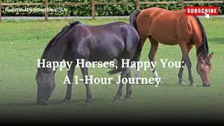 Horses and Nature: A Day in Harmony with the Outdoors |