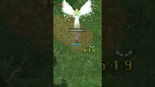 Magic Ninja - Ragnarok Online