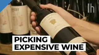 How to Pick Good Expensive Wine | Lifehacker