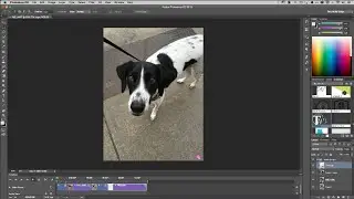 How to Create an Animated GIF from a Video in Photoshop CC