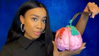 ASMR Removing Your Brain Rot (Sigma, Skibidi, Gyatt) 🧠🤏🏽 ASMR Plucking Sounds