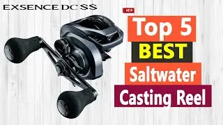 Top 5 Best Saltwater Casting Reel In 2021